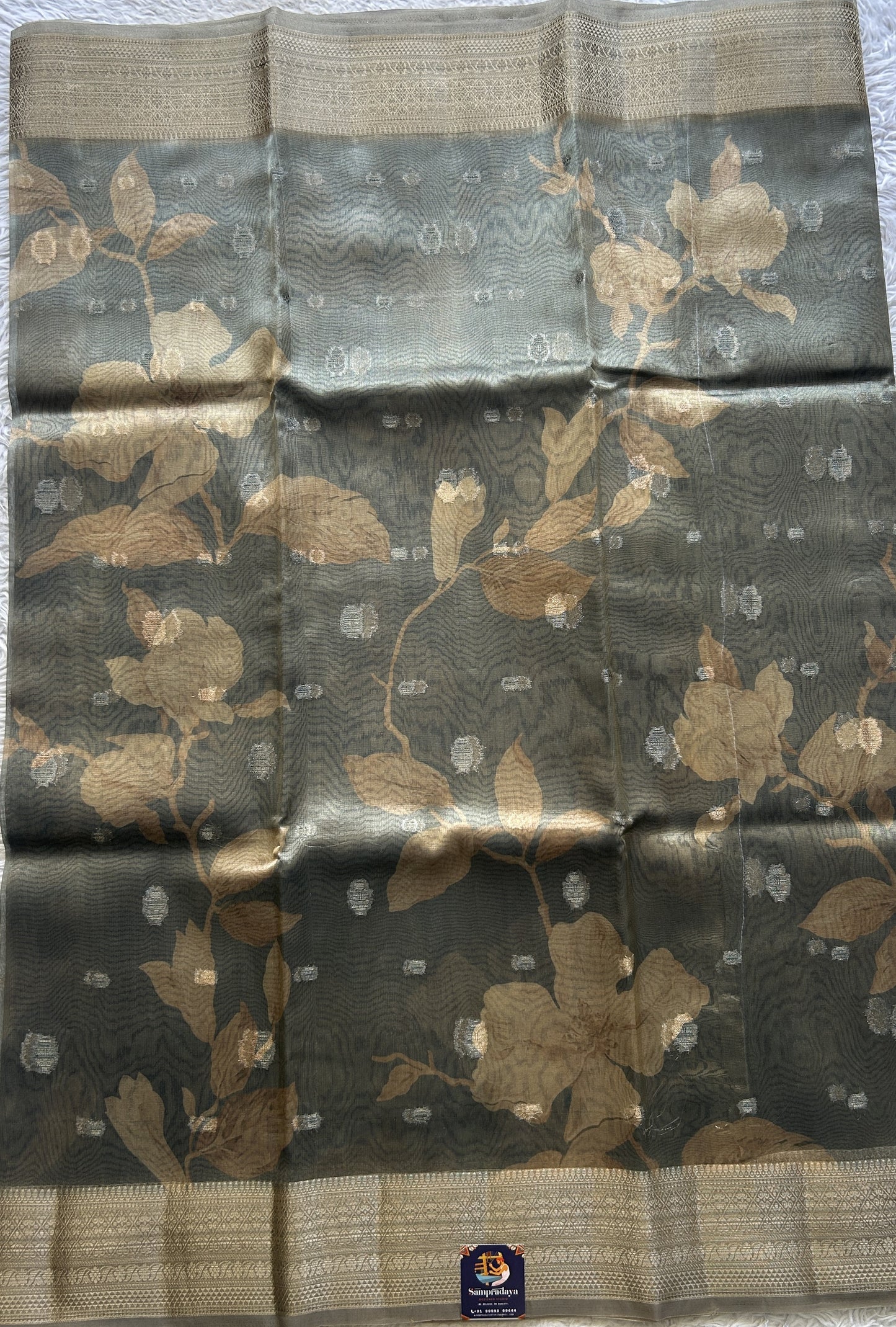 Tissue Organza Saree Elephant Gray Colored Elegantly Paired with a Zari Border. - Sampradaya Designer Studio