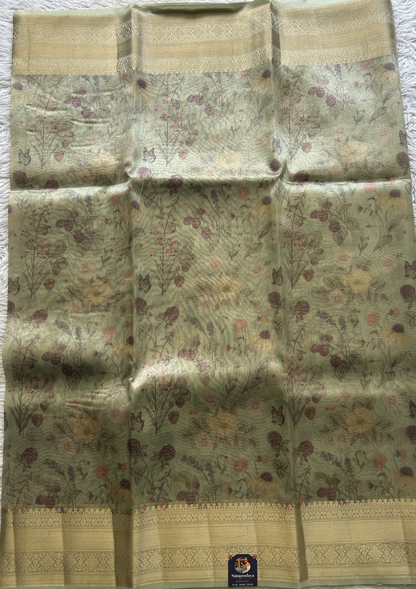 Tissue Organza Saree Light Green Colored Elegantly Paired with a Zari Border. - Sampradaya Designer Studio