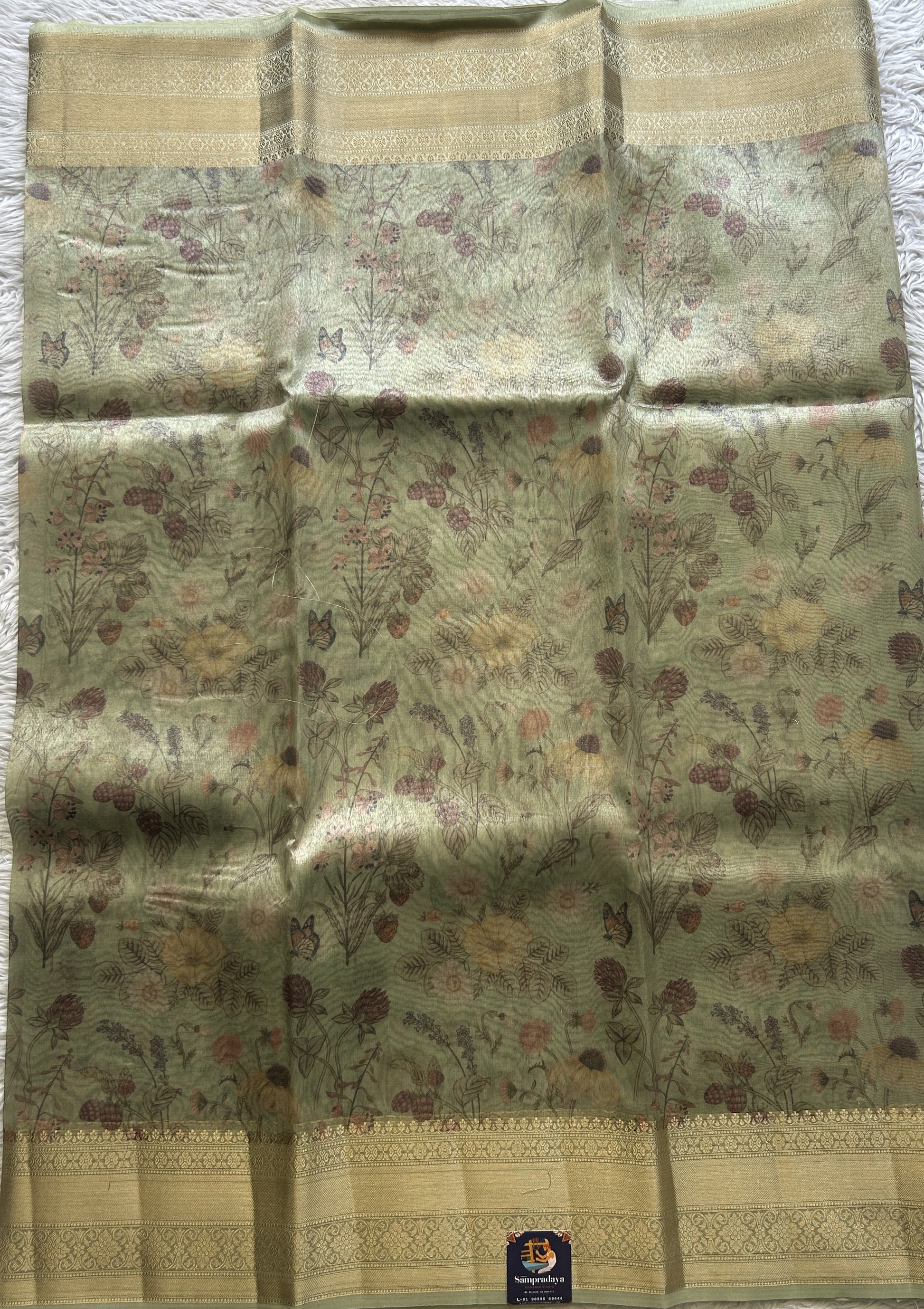 Tissue Organza Saree Light Green Colored Elegantly Paired with a Zari Border. - Sampradaya Designer Studio