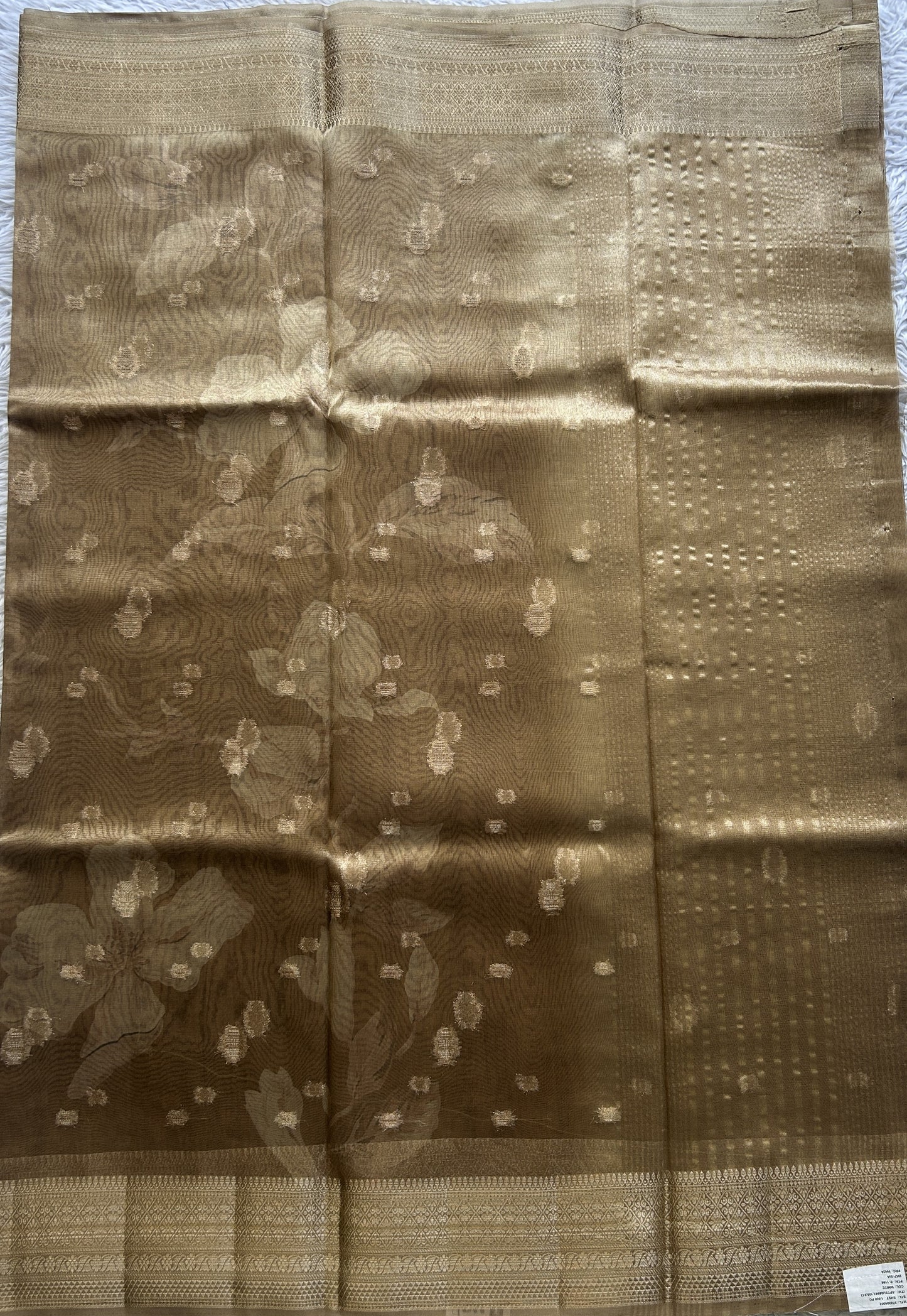 Tissue Organza Saree Light Brown Colored Elegantly Paired with a Zari Border. - Sampradaya Designer Studio