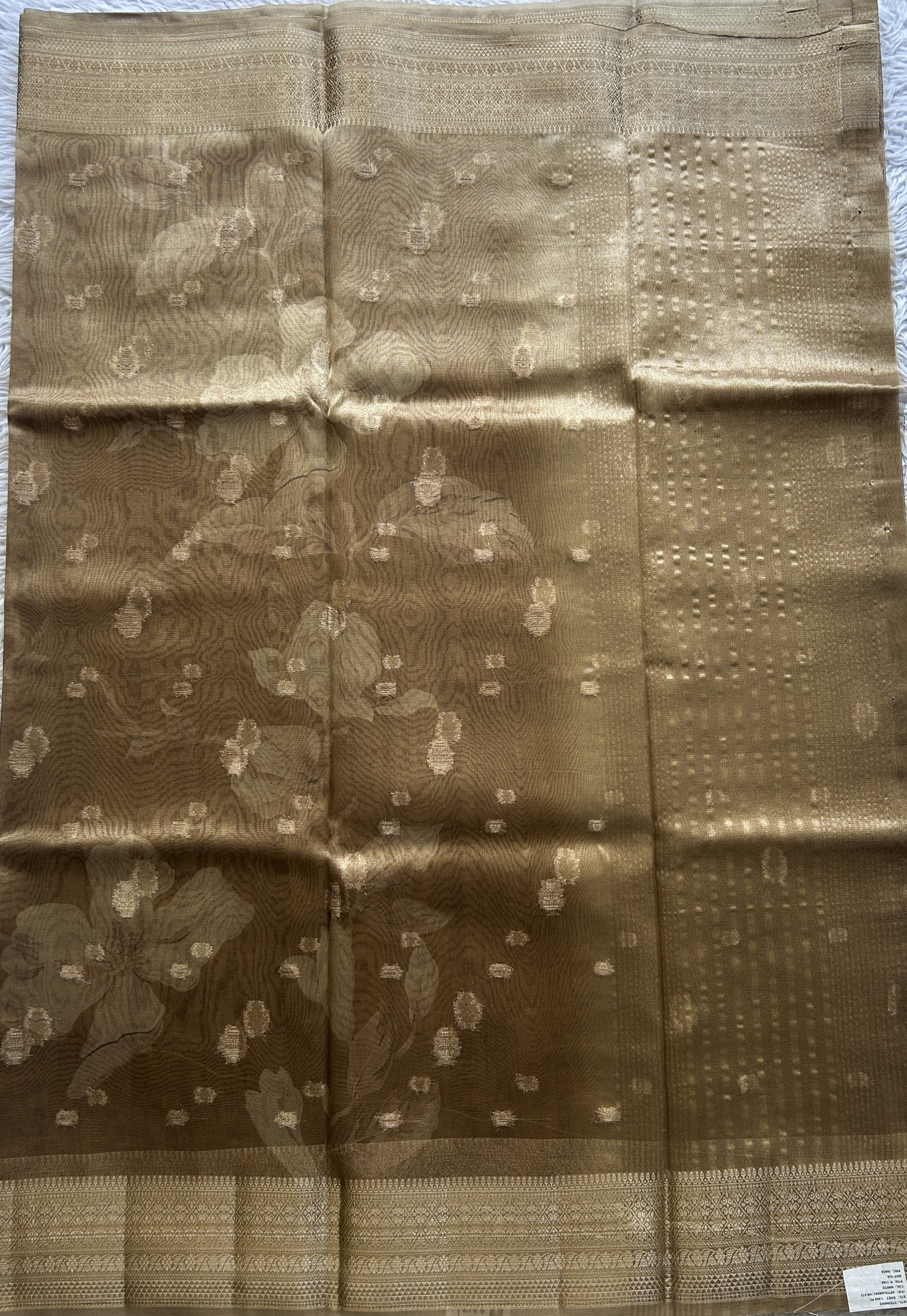 Tissue Organza Saree Light Brown Colored Elegantly Paired with a Zari Border. - Sampradaya Designer Studio