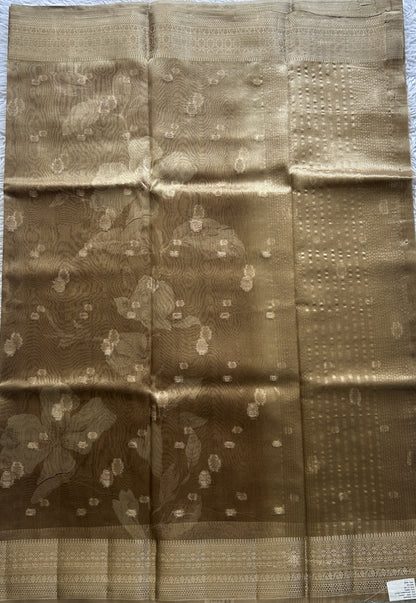 Tissue Organza Saree Light Brown Colored Elegantly Paired with a Zari Border. - Sampradaya Designer Studio