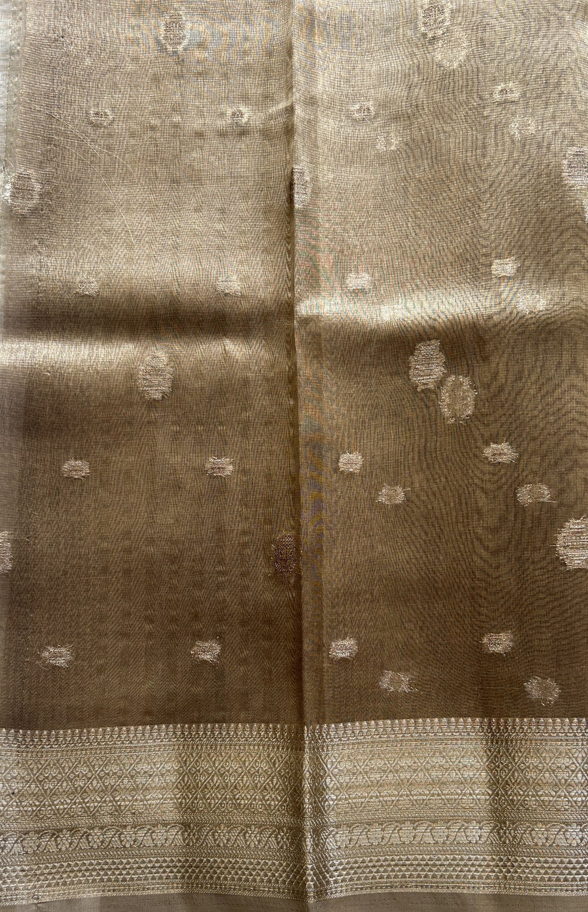 Tissue Organza Saree Light Brown Colored Elegantly Paired with a Zari Border. - Sampradaya Designer Studio