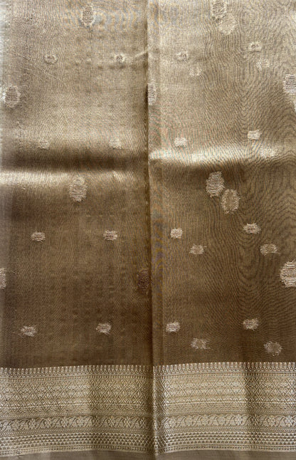 Tissue Organza Saree Light Brown Colored Elegantly Paired with a Zari Border. - Sampradaya Designer Studio