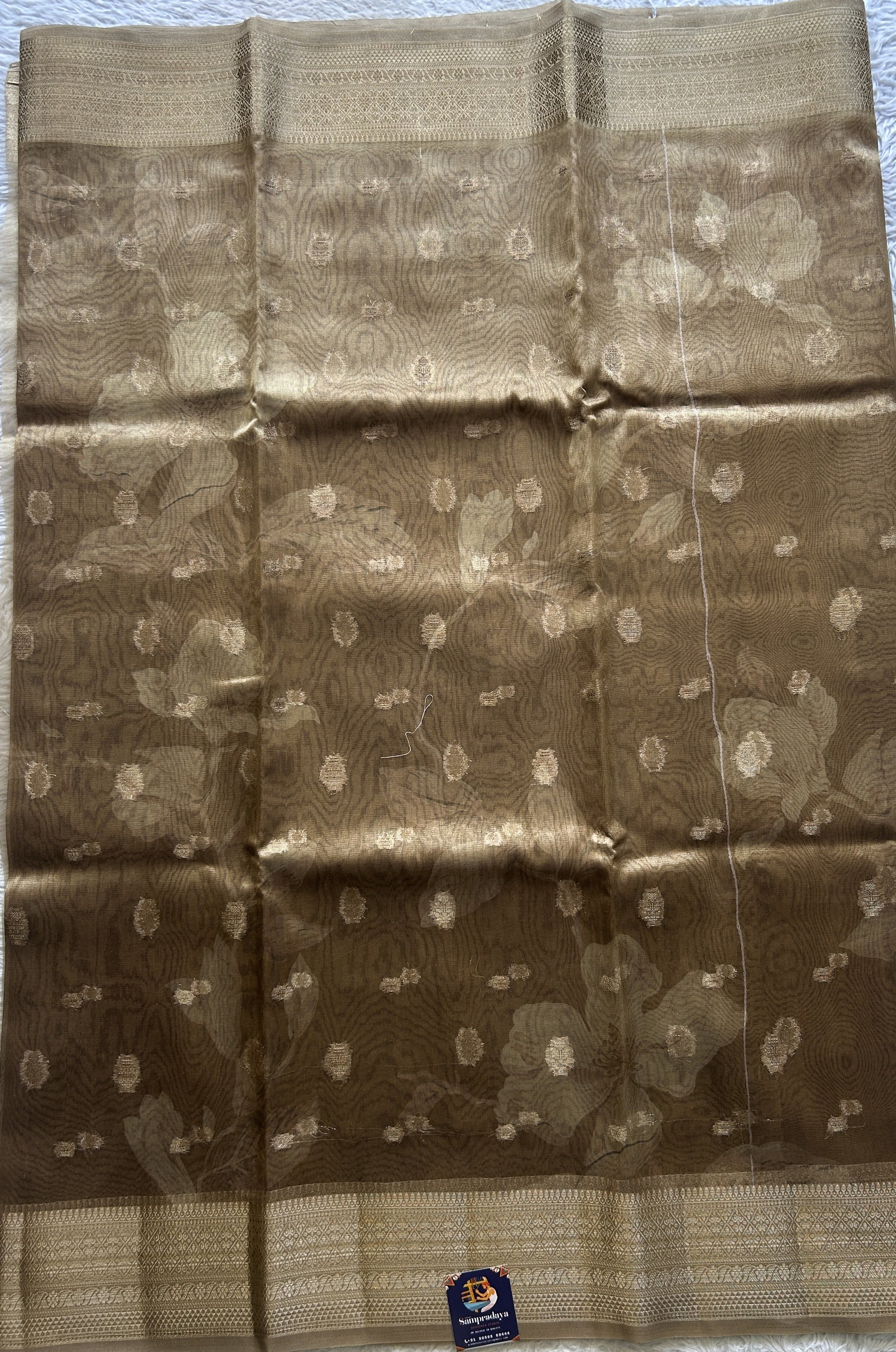 Tissue Organza Saree Light Brown Colored Elegantly Paired with a Zari Border. - Sampradaya Designer Studio