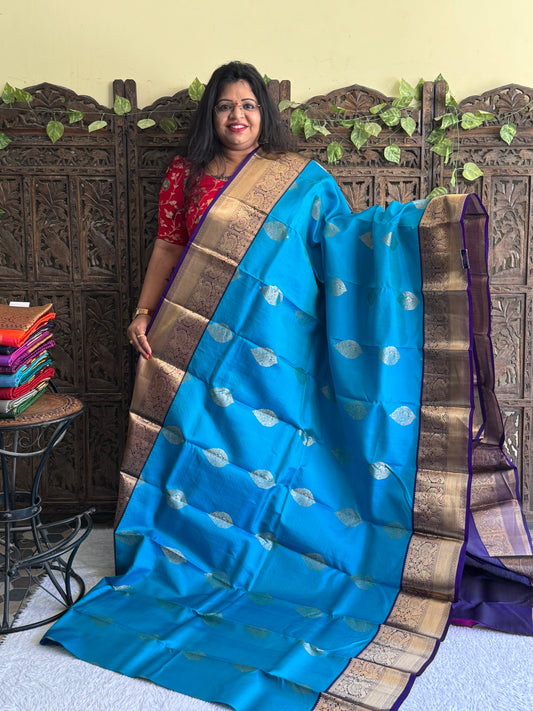 Pure Kanjivaram Silk Saree Light Blue Colored Elegantly Paid with a Gold Zari Border