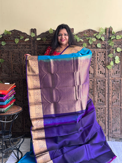 Pure Kanjivaram Silk Saree Light Blue Colored Elegantly Paid with a Gold Zari Border