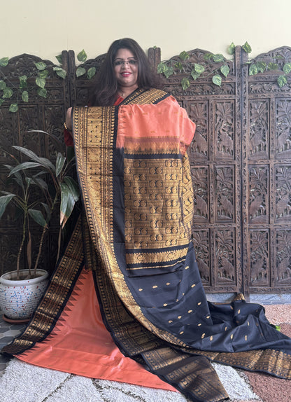 Gadwal Pattu Saree Peach colored saree complemented with a Black Zari border - Sampradaya Designer Studio