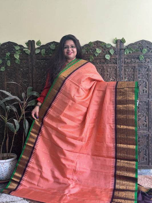 Gadwal Pattu Saree Peach colored saree complemented with a Brown Zari border - Sampradaya Designer Studio
