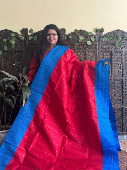 Gadwal Pattu Saree Red colored saree complemented with a Blue Checks border - Sampradaya Designer Studio