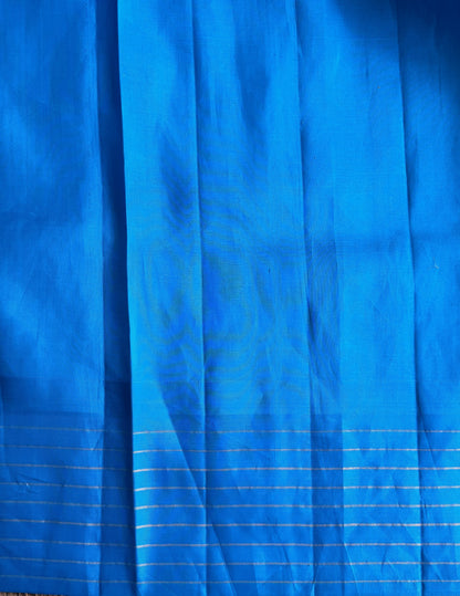 Gadwal Pattu Saree Red colored saree complemented with a Blue Checks border - Sampradaya Designer Studio