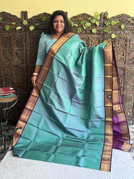 Pure Kanjivaram Silk Saree Light Teal Blue Colored Elegantly Paid with a Gold Zari Border.