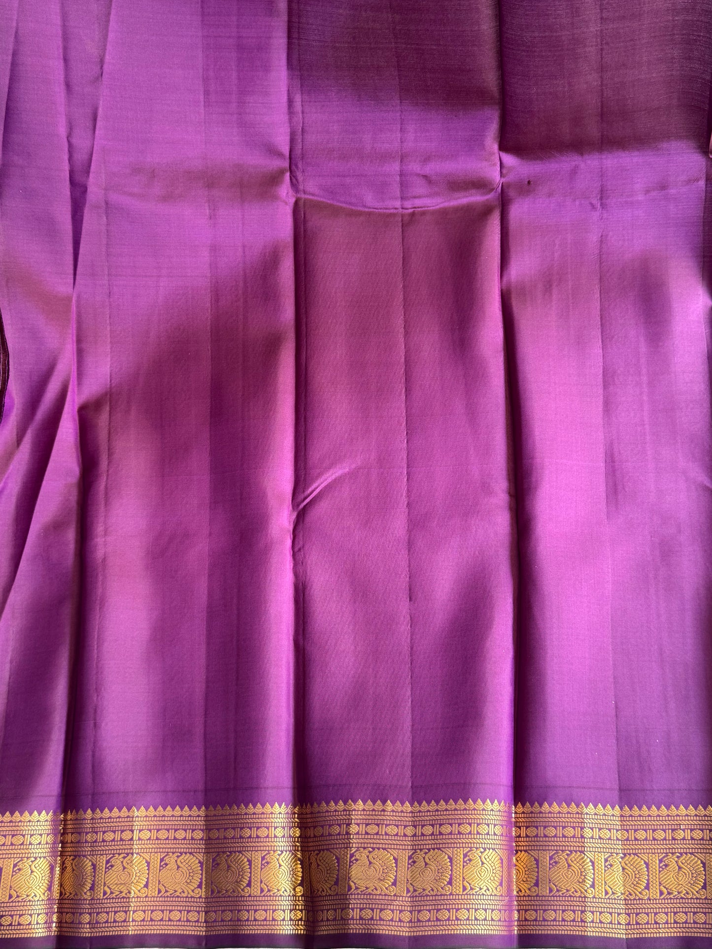 Pure Kanjivaram Silk Saree Light Teal Blue Colored Elegantly Paid with a Gold Zari Border.