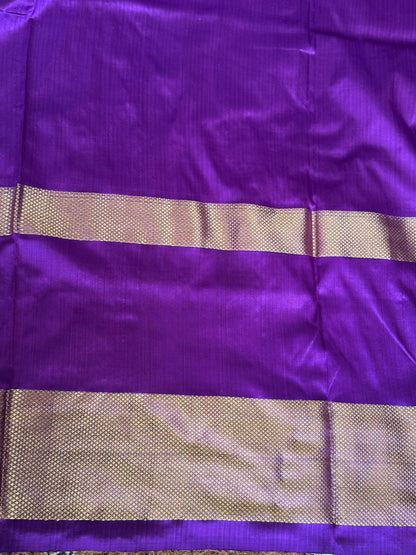 Ikkat Pattu Saree Sea Green colored complemented with a Violet Kanchi border. - Sampradaya Designer Studio