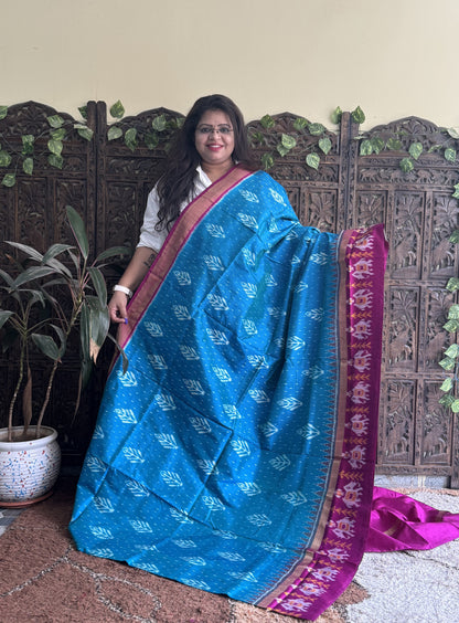 Ikkat Pattu Saree Sky Blue colored complemented with a Zari border. - Sampradaya Designer Studio