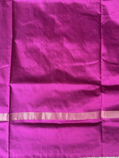 Ikkat Pattu Saree Sky Blue colored complemented with a Zari border. - Sampradaya Designer Studio