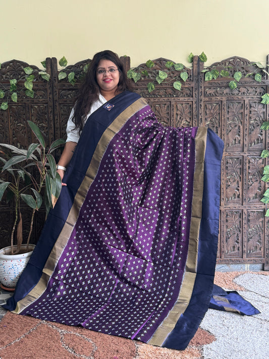 Ikkat Pattu Saree Violet colored complemented with a Zari border. - Sampradaya Designer Studio