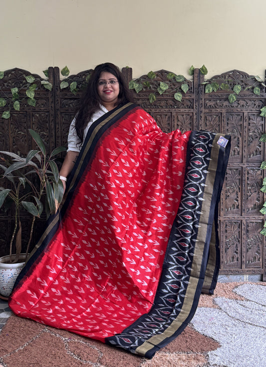 Ikkat Pattu Saree Red colored complemented with a Ikkat Zari border. - Sampradaya Designer Studio