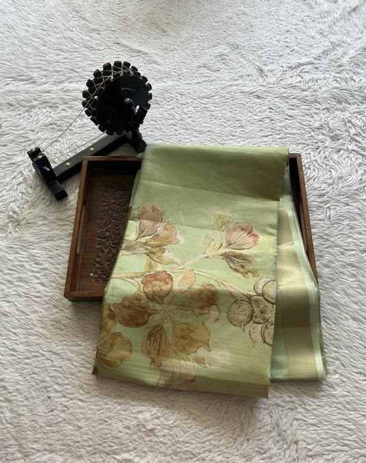 Semi Tussar Tissue Saree Pastel Green Colored complemented with a Zari Border. - Sampradaya Designer Studio