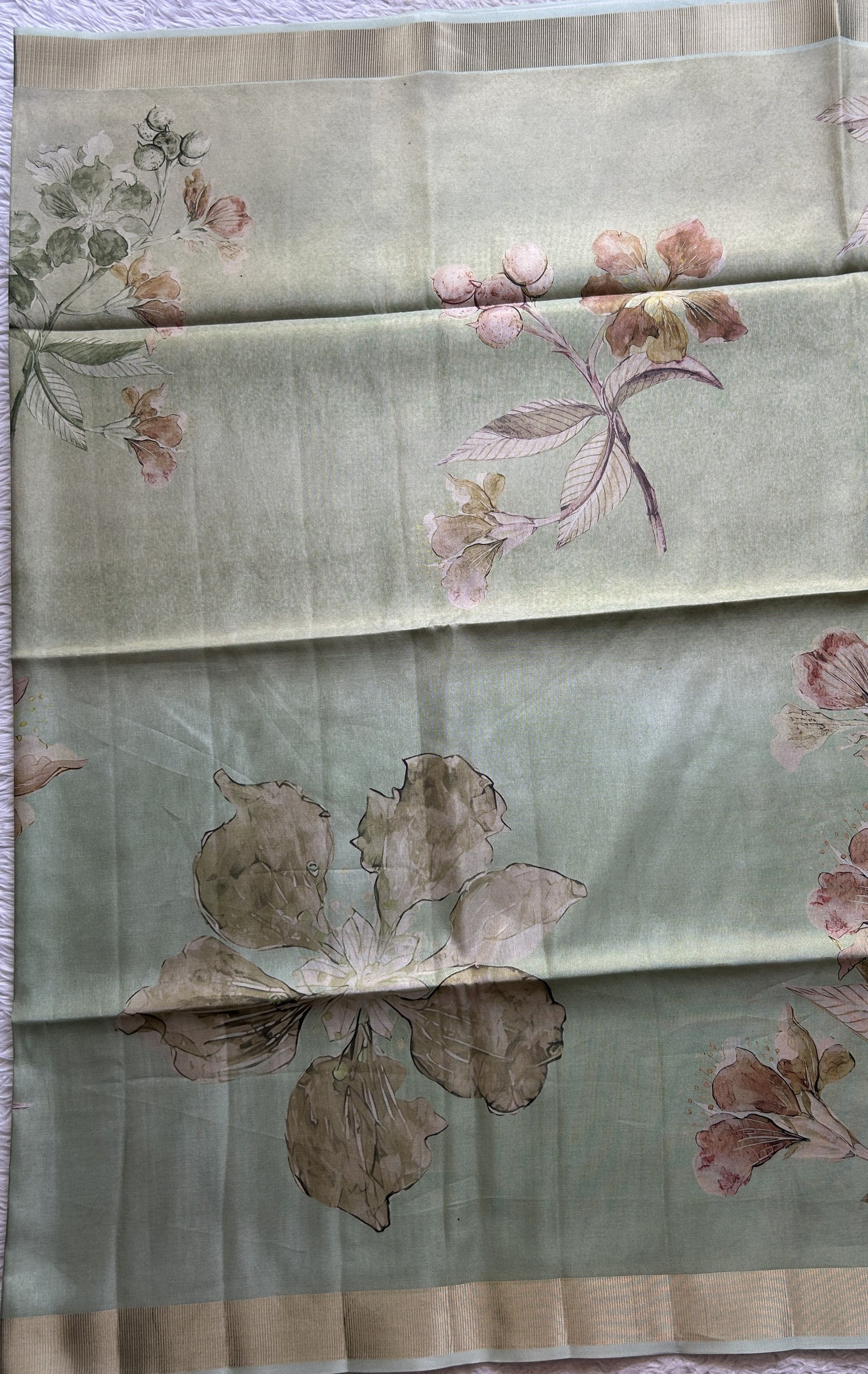 Semi Tussar Tissue Saree Pastel Green Colored complemented with a Zari Border. - Sampradaya Designer Studio