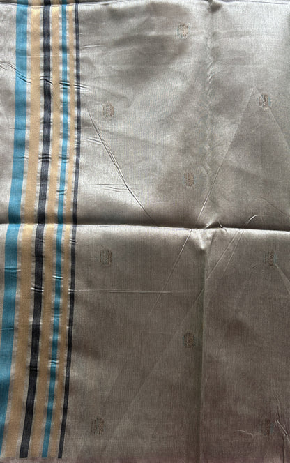 Semi Tussar Saree Light Sea Green Colored complemented with a Borderless. - Sampradaya Designer Studio