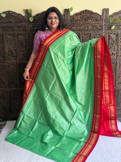 Narayanpet Silk Saree Mint Green Colored Complemented with a Gold Zari Border. - Sampradaya Designer Studio