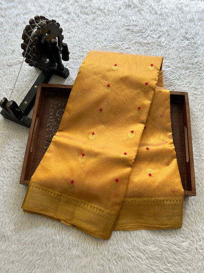 Gold Chanderi Silk Saree With Gold Zari Border — Pure Handloom | Silk Mark Certified - Sampradaya Designer Studio