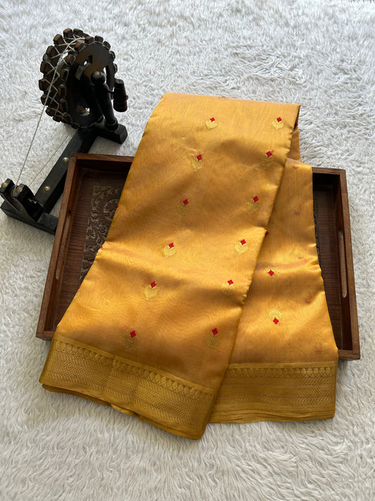 Gold Chanderi Silk Saree With Gold Zari Border — Pure Handloom | Silk Mark Certified