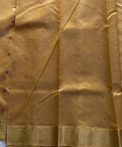 Gold Chanderi Silk Saree With Gold Zari Border — Pure Handloom | Silk Mark Certified - Sampradaya Designer Studio