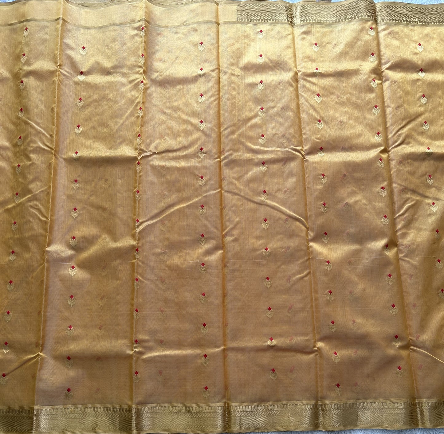 Gold Chanderi Silk Saree With Gold Zari Border — Pure Handloom | Silk Mark Certified - Sampradaya Designer Studio