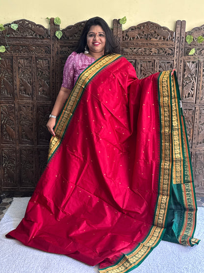 Narayanpet Silk Saree Dark Marron Colored Complemented with a Gold Zari Border. - Sampradaya Designer Studio