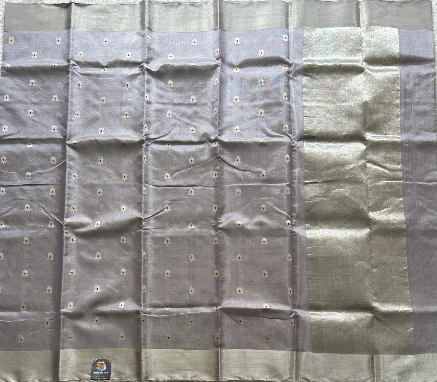 Gray Chanderi Tissue Saree With Silver Zari Border — Pure Handloom | Silk Mark Certified