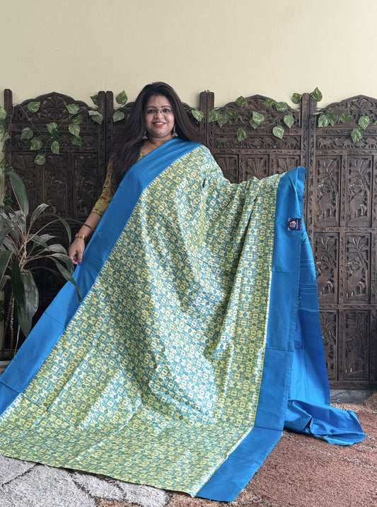 Ikkat Pattu Saree Biscuit colored complemented with a Plain border. - Sampradaya Designer Studio