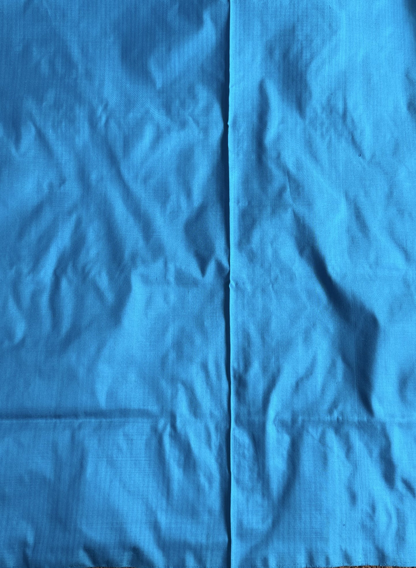Ikkat Pattu Saree Biscuit colored complemented with a Plain border. - Sampradaya Designer Studio
