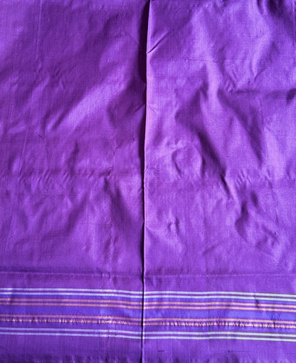 Ikkat Pattu Saree Beige colored complemented with a Patola border. - Sampradaya Designer Studio