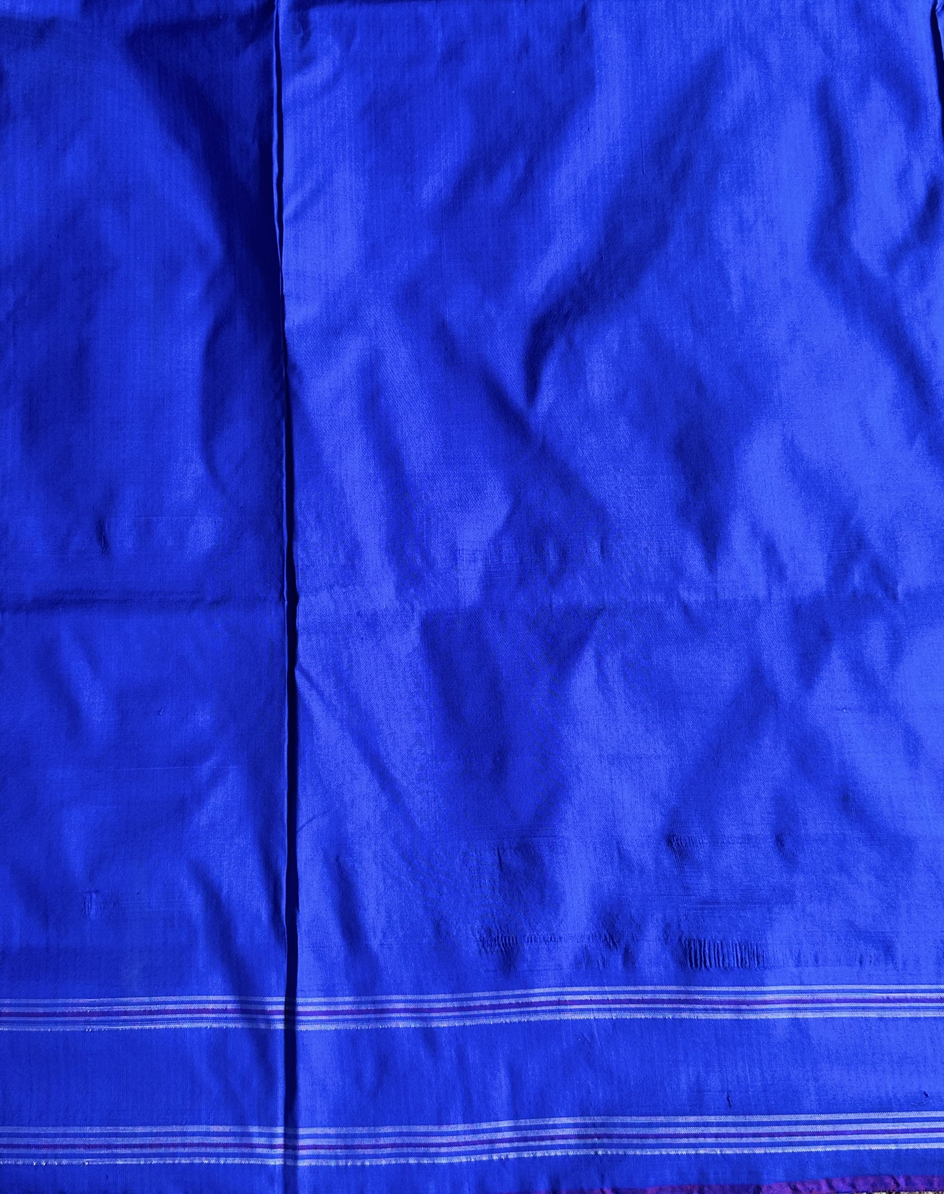 Ikkat Pattu Saree Sky Blue colored complemented with a Patola border. - Sampradaya Designer Studio