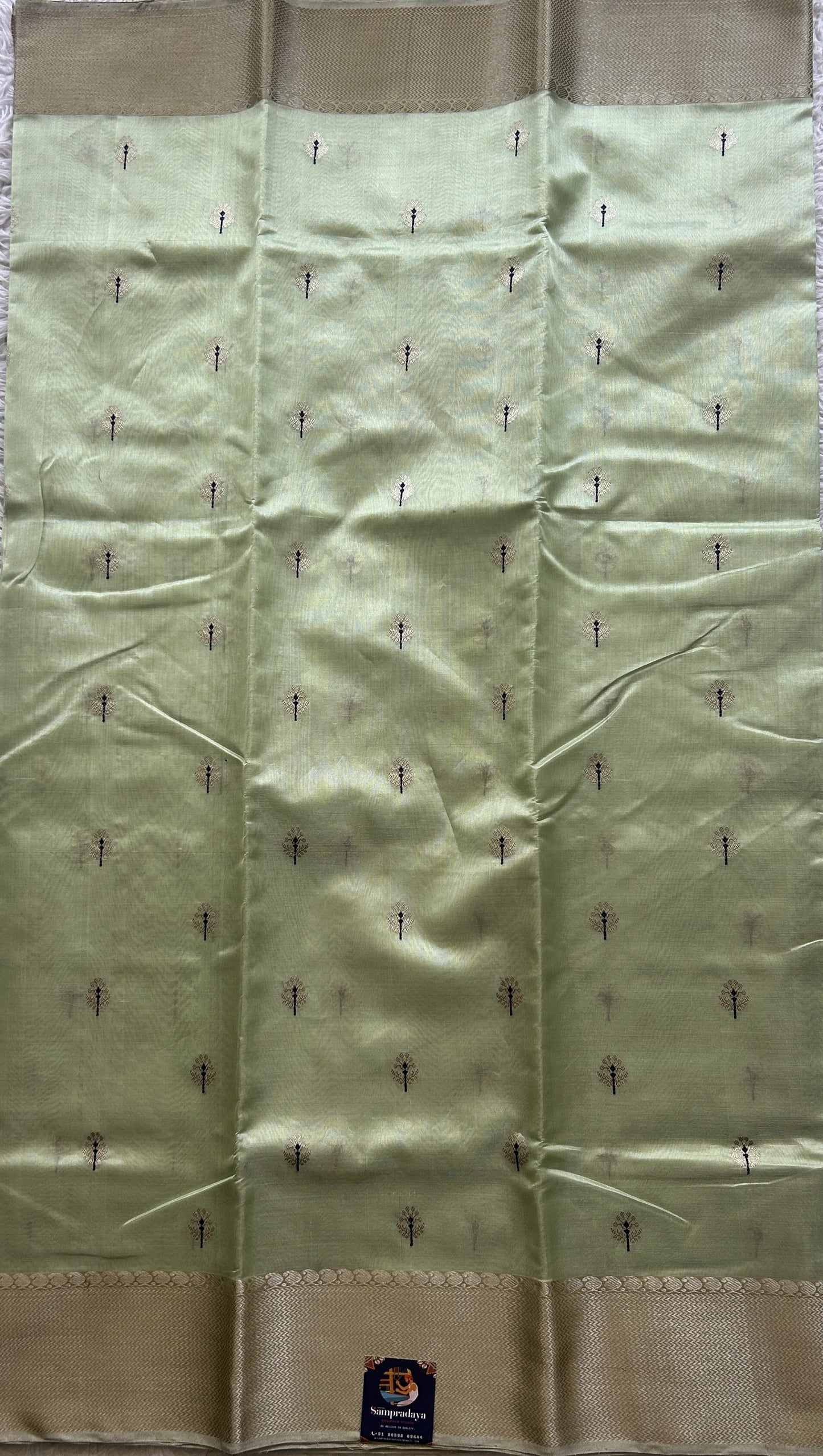 Chanderi Silk Saree Light Green color Elegantly Paired with a Gold Zari Weaving border - Sampradaya Designer Studio