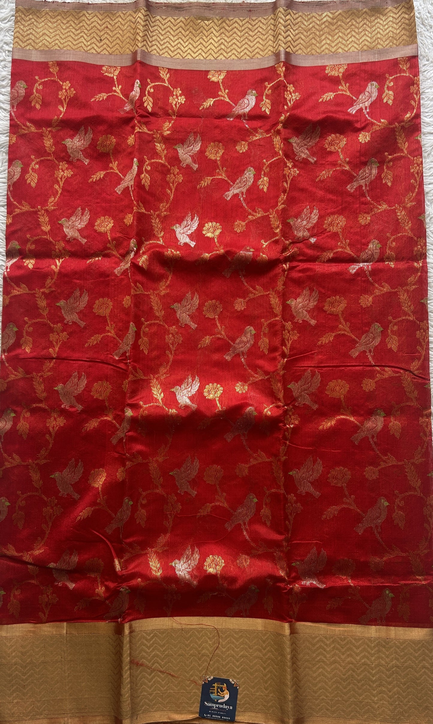 Chanderi Silk Saree Red color Elegantly Paired with a Gold Zari  border - Sampradaya Designer Studio