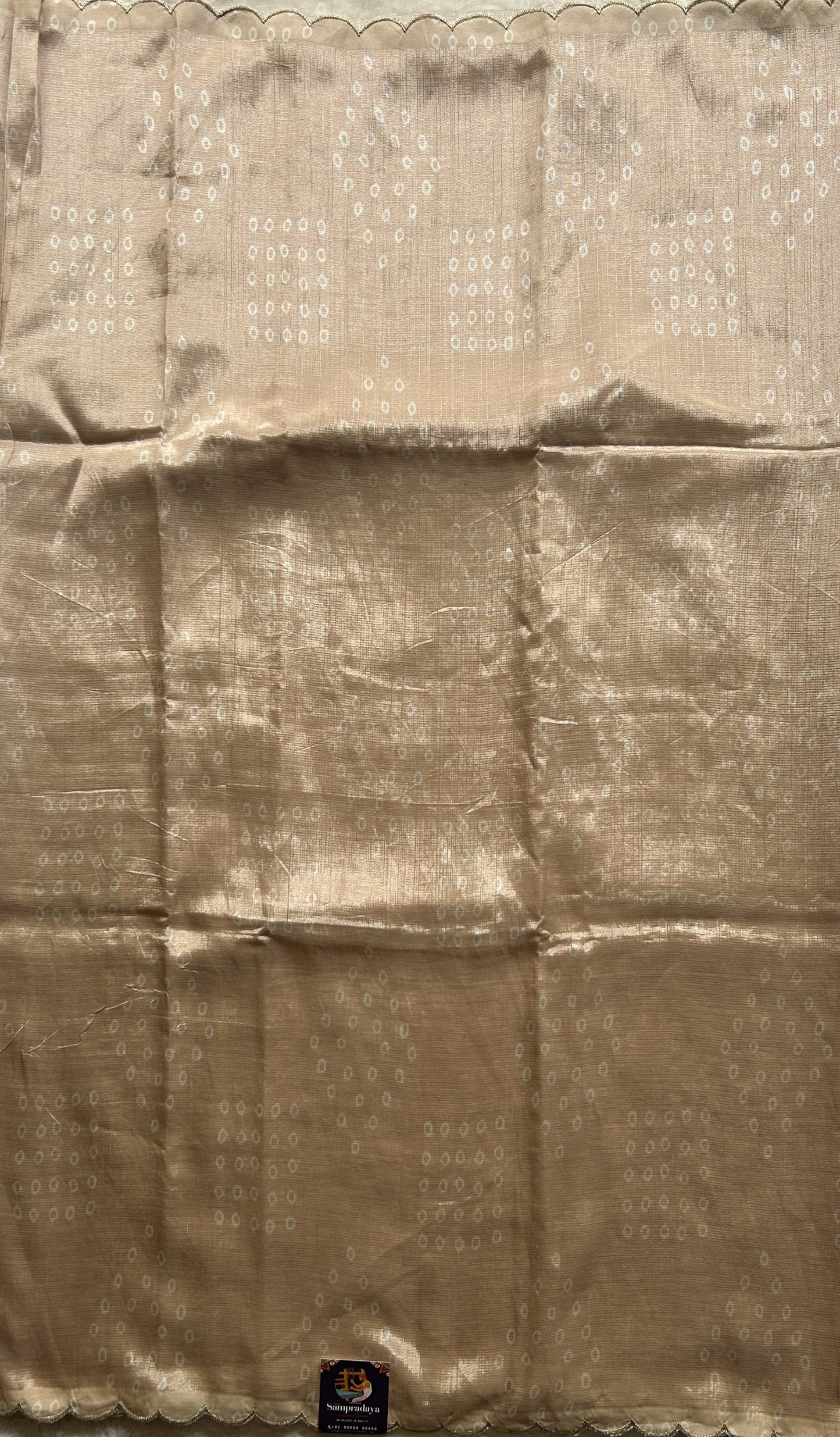 Mangalagiri Pattu Saree Light Beige Colored Complemented with a Scallop Border - Sampradaya Designer Studio