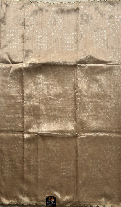 Mangalagiri Pattu Saree Light Beige Colored Complemented with a Scallop Border - Sampradaya Designer Studio