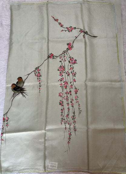 Silk kota Saree Light Green color complemented with a Borderless Saree. - Sampradaya Designer Studio