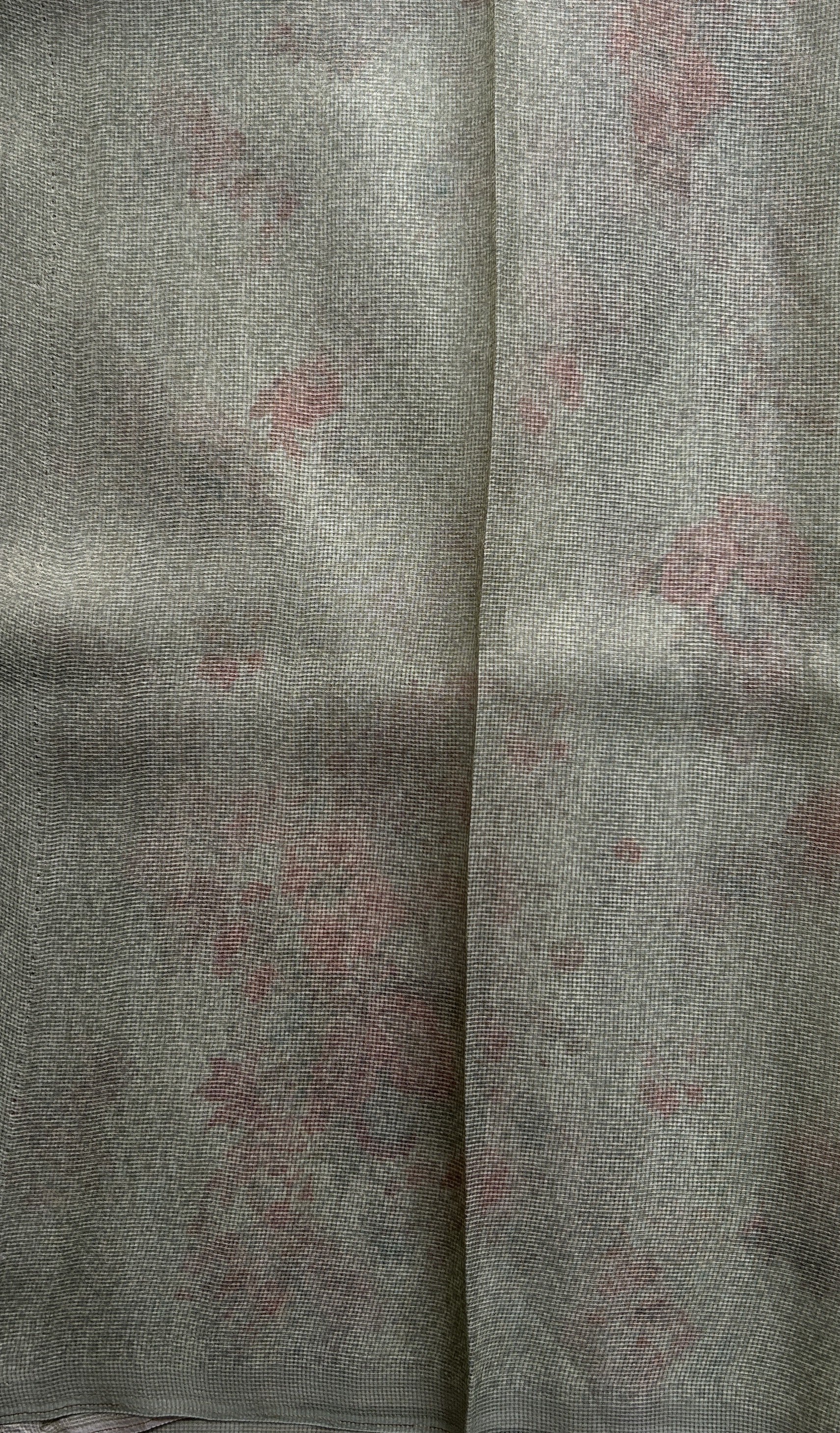 Banarasi Fancy Kota Light Green Colored Borderless Saree Complemented With Digital Print. - Sampradaya Designer Studio