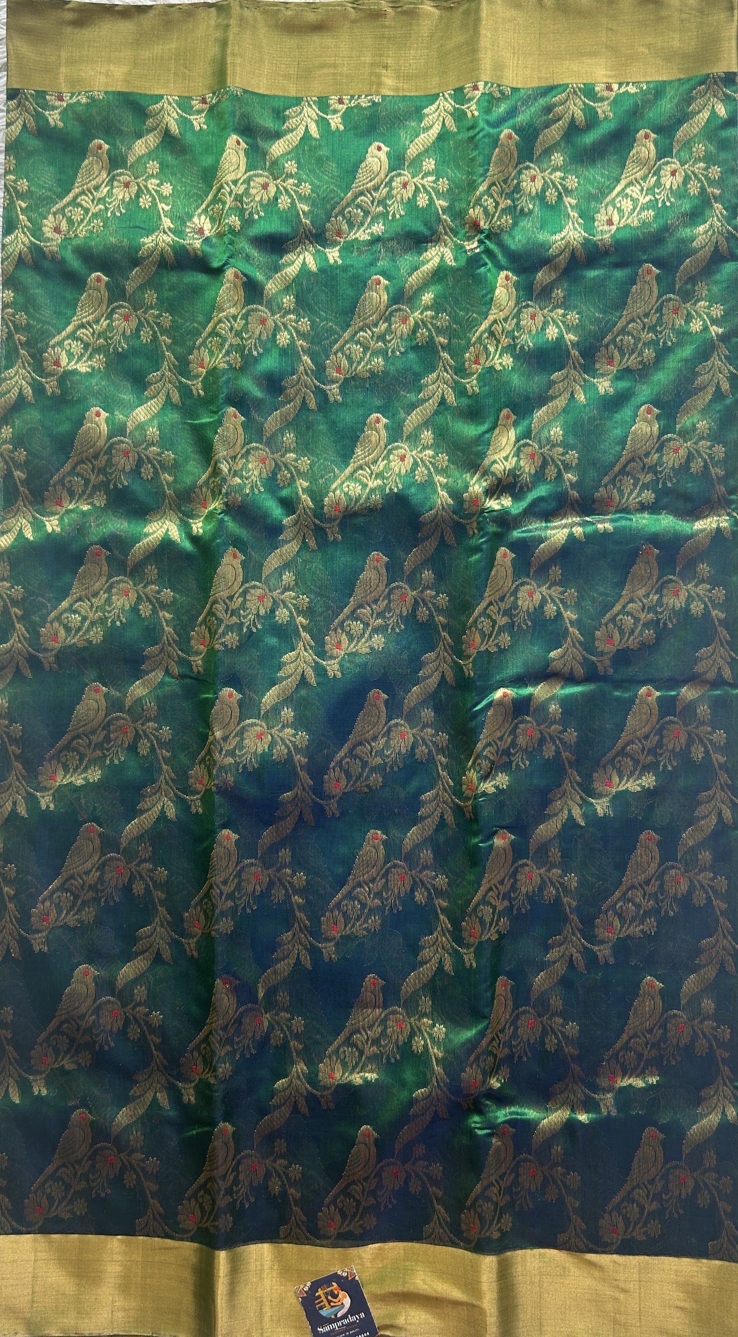 Chanderi Silk Saree Dark Bottle Green color Elegantly Paired with a Gold Zari border - Sampradaya Designer Studio