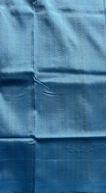 Mangalagiri Plain Pattu Saree Sky Blue colored complemented with a No Border. - Sampradaya Designer Studio
