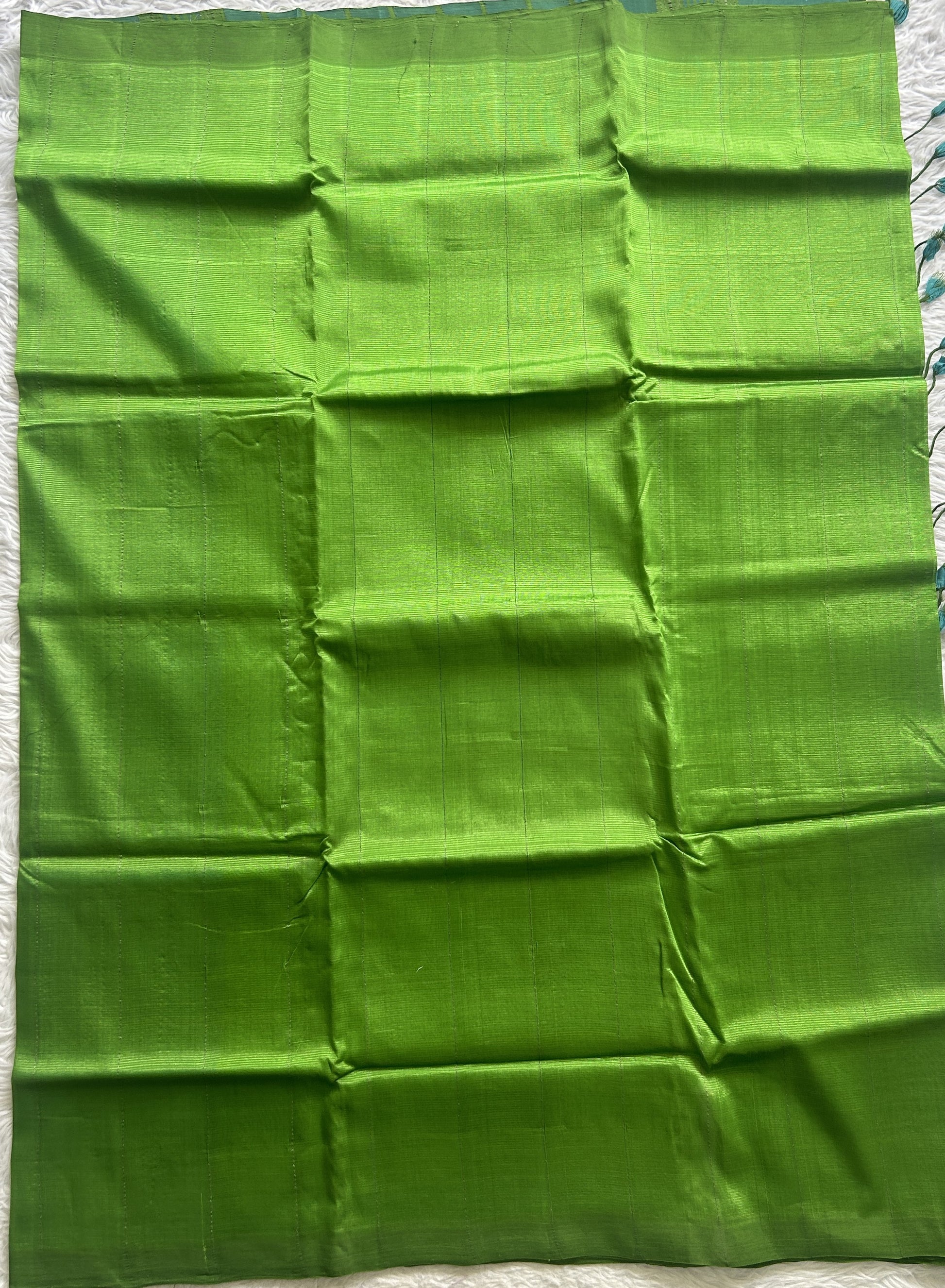 Mangalagiri Plain Pattu Saree Parrot Green colored complemented with a No Border. - Sampradaya Designer Studio