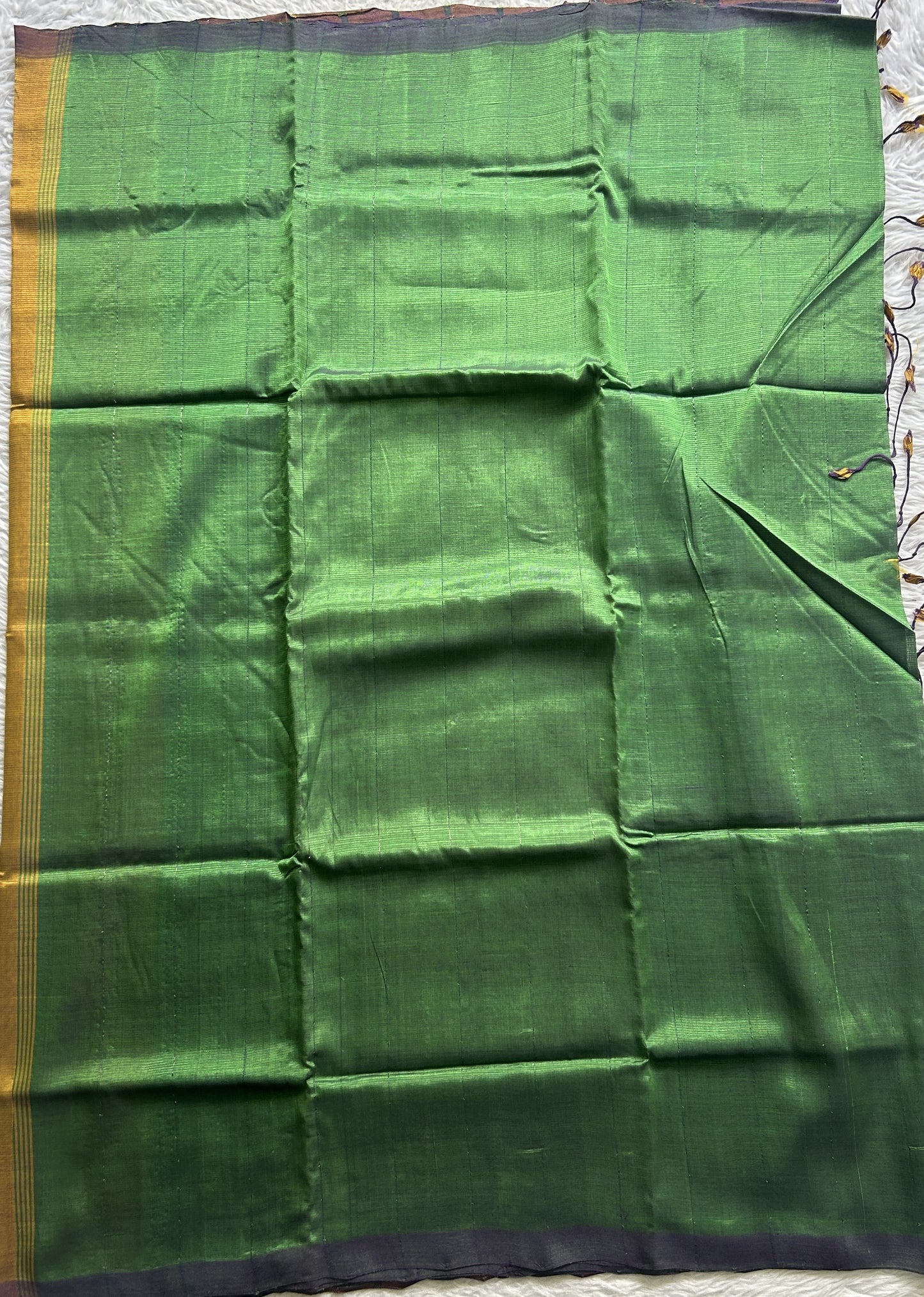 Mangalagiri Plain Pattu Saree Green colored complemented with a No Border. - Sampradaya Designer Studio