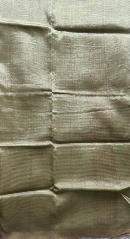 Mangalagiri Plain Pattu Saree Beige colored complemented with a No Border. - Sampradaya Designer Studio