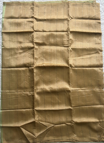 Mangalagiri Plain Pattu Saree Beige colored complemented with a No Border. - Sampradaya Designer Studio