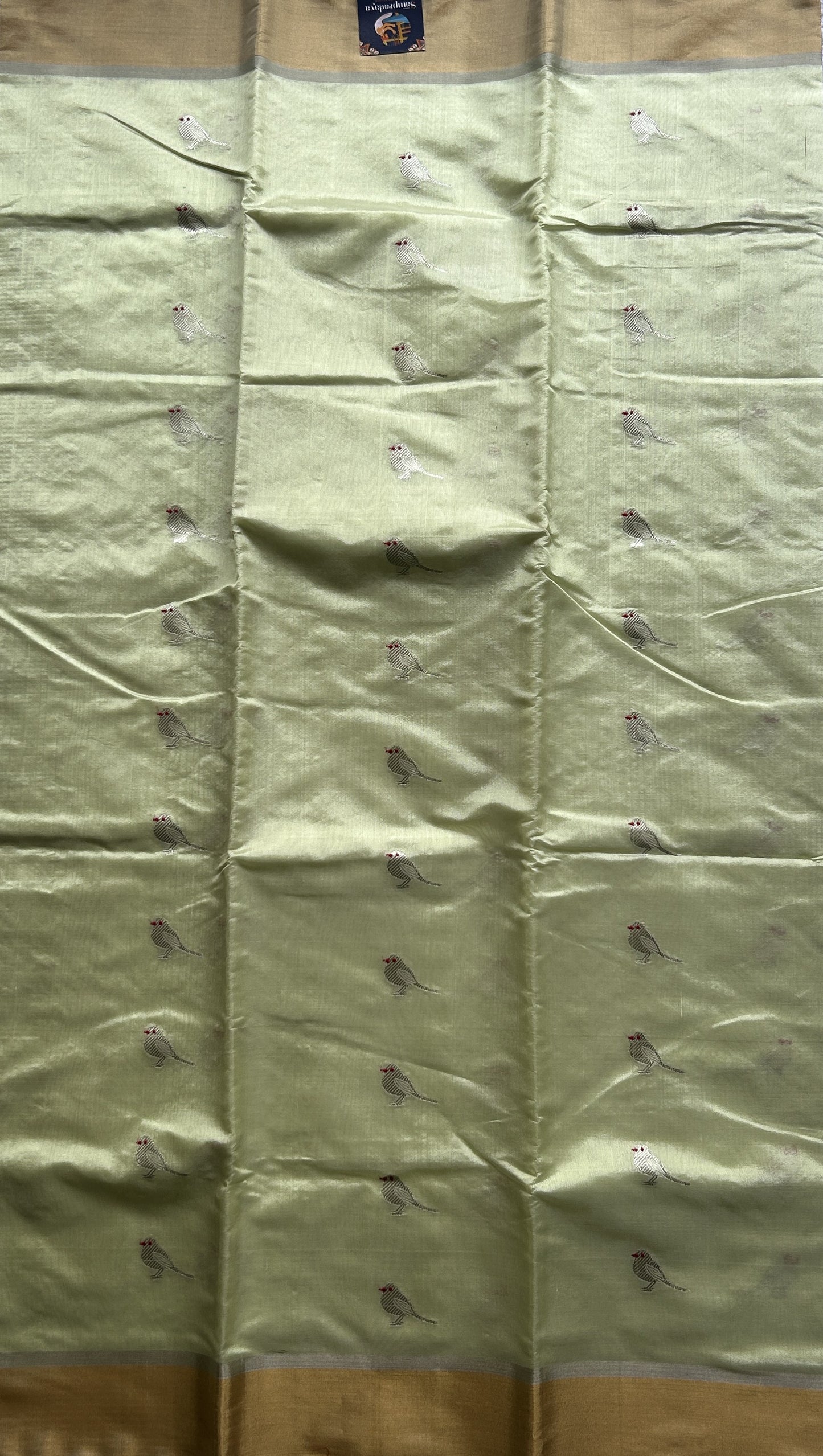 Chanderi Silk Saree Neon Green color Elegantly Paired with a Gold Zari border - Sampradaya Designer Studio