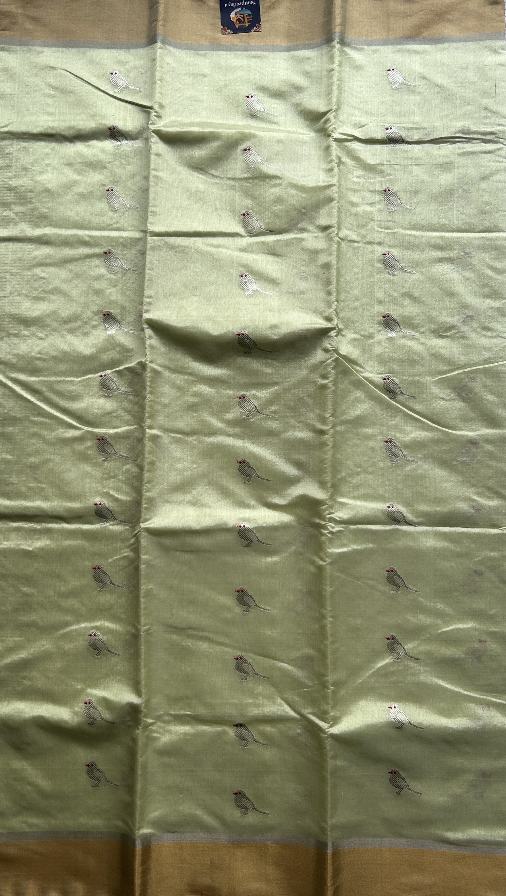 Chanderi Silk Saree Neon Green color Elegantly Paired with a Gold Zari border - Sampradaya Designer Studio